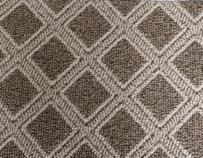 Try Tuftex Carpet for Style and Pet Protection